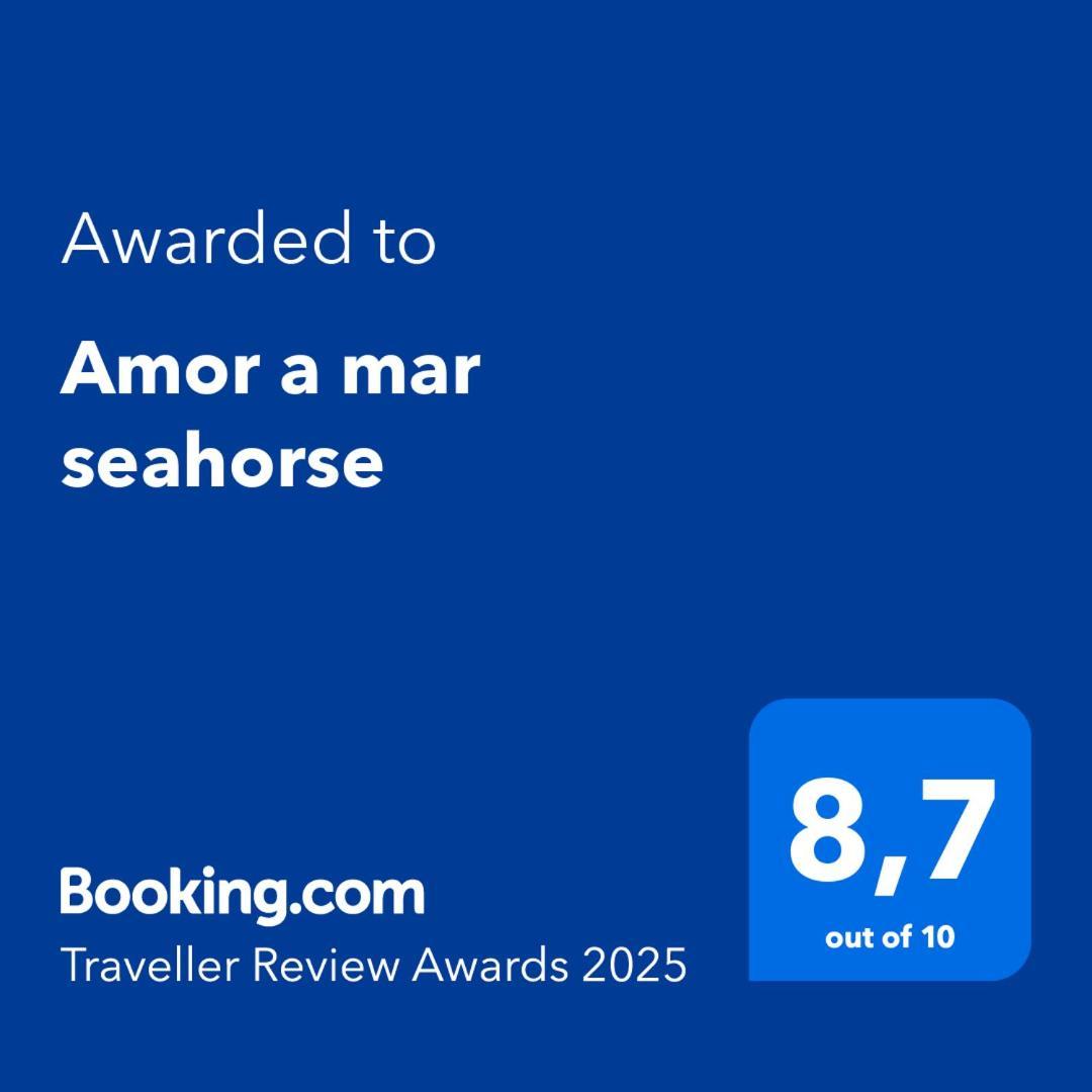 Amor A Mar Seahorse بويرتو ذيل كارمين المظهر الخارجي الصورة